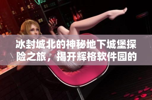 冰封城北的神秘地下城堡探险之旅，揭开辉格软件园的惊险秘密