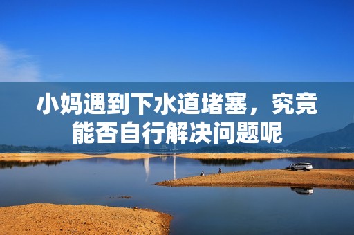 小妈遇到下水道堵塞，究竟能否自行解决问题呢