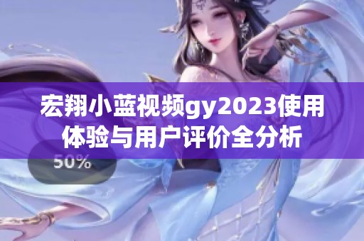 宏翔小蓝视频gy2023使用体验与用户评价全分析
