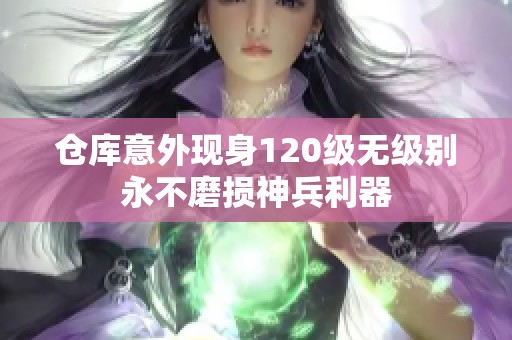 仓库意外现身120级无级别永不磨损神兵利器