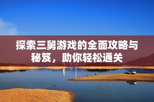 探索三舅游戏的全面攻略与秘笈，助你轻松通关