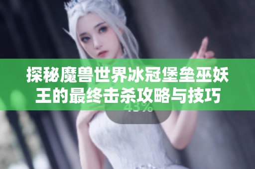 探秘魔兽世界冰冠堡垒巫妖王的最终击杀攻略与技巧