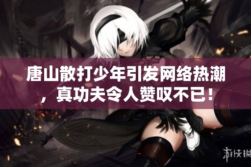 唐山散打少年引发网络热潮，真功夫令人赞叹不已！
