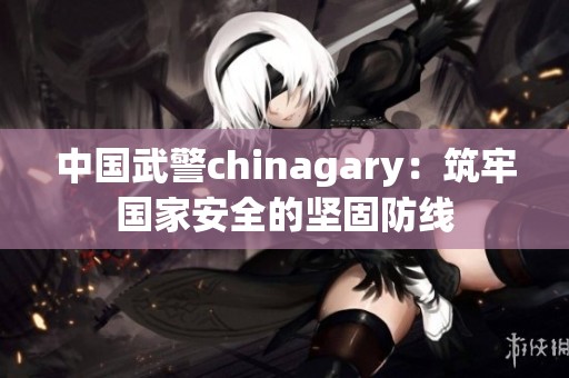 中国武警chinagary：筑牢国家安全的坚固防线