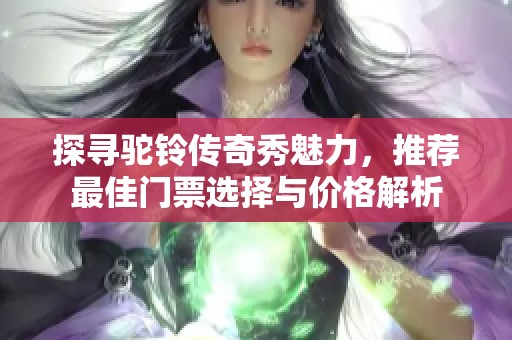 探寻驼铃传奇秀魅力，推荐最佳门票选择与价格解析