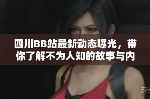 四川BB站最新动态曝光，带你了解不为人知的故事与内幕
