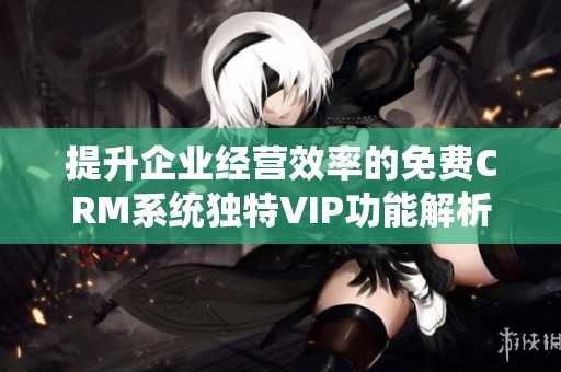 提升企业经营效率的免费CRM系统独特VIP功能解析