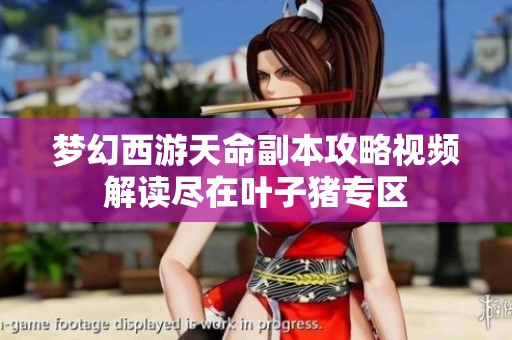梦幻西游天命副本攻略视频解读尽在叶子猪专区