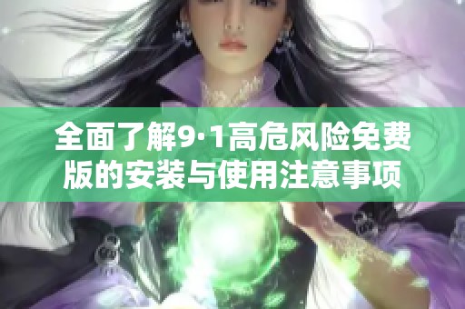 全面了解9·1高危风险免费版的安装与使用注意事项