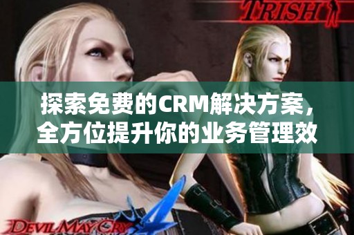 探索免费的CRM解决方案，全方位提升你的业务管理效率