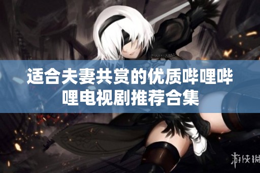 适合夫妻共赏的优质哔哩哔哩电视剧推荐合集