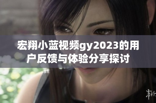 宏翔小蓝视频gy2023的用户反馈与体验分享探讨
