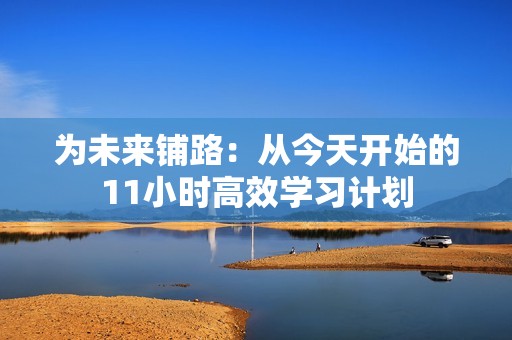 为未来铺路：从今天开始的11小时高效学习计划