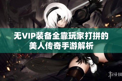 无VIP装备全靠玩家打拼的美人传奇手游解析
