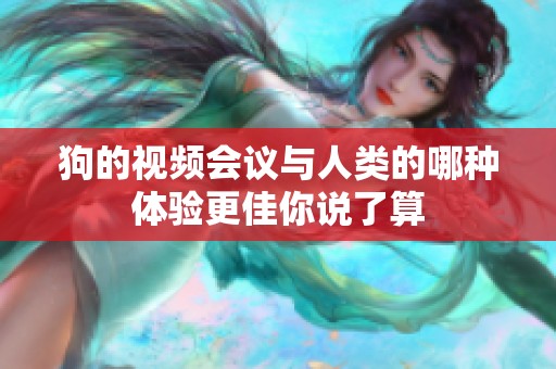 狗的视频会议与人类的哪种体验更佳你说了算