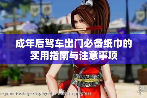 成年后驾车出门必备纸巾的实用指南与注意事项