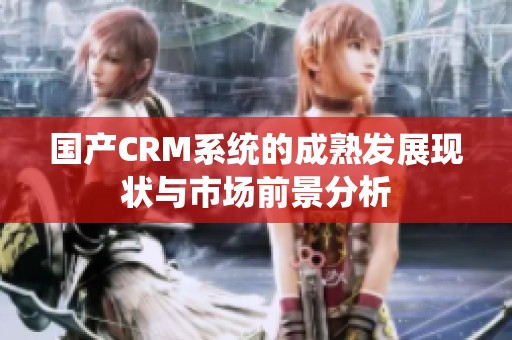 国产CRM系统的成熟发展现状与市场前景分析
