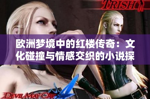 欧洲梦境中的红楼传奇：文化碰撞与情感交织的小说探秘