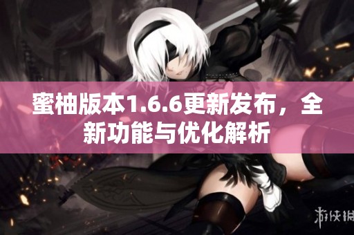 蜜柚版本1.6.6更新发布，全新功能与优化解析