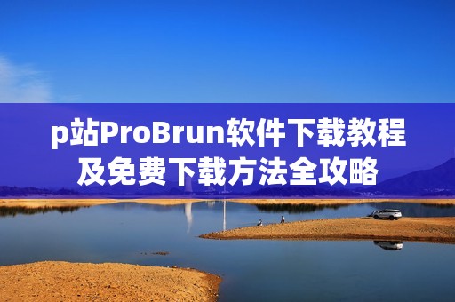 p站ProBrun软件下载教程及免费下载方法全攻略