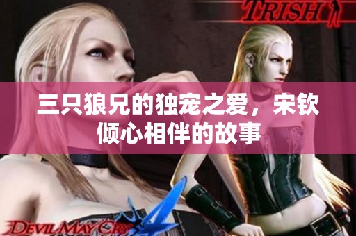 三只狼兄的独宠之爱，宋钦倾心相伴的故事