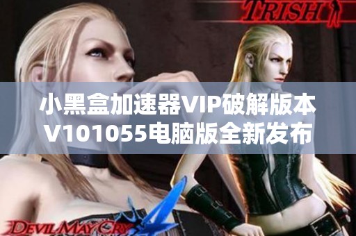 小黑盒加速器VIP破解版本V101055电脑版全新发布与功能介绍