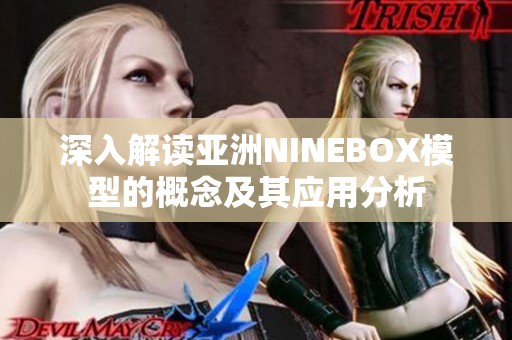 深入解读亚洲NINEBOX模型的概念及其应用分析