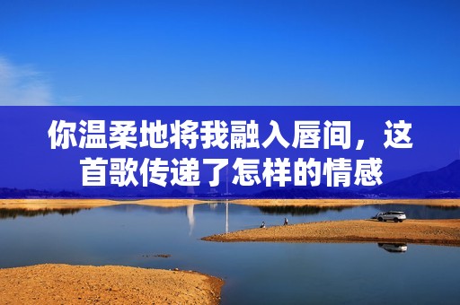 你温柔地将我融入唇间，这首歌传递了怎样的情感