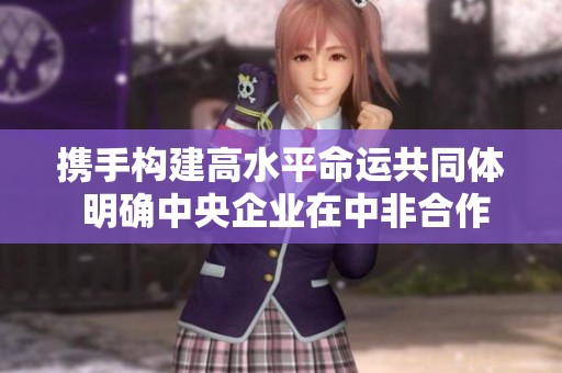 携手构建高水平命运共同体 明确中央企业在中非合作中的惠民角色