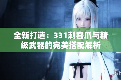 全新打造：331刺客爪与精级武器的完美搭配解析