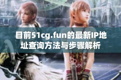 目前51cg.fun的最新IP地址查询方法与步骤解析