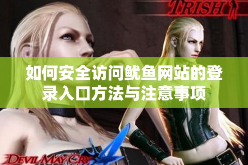 如何安全访问鱿鱼网站的登录入口方法与注意事项