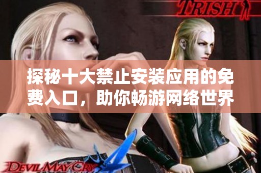探秘十大禁止安装应用的免费入口，助你畅游网络世界