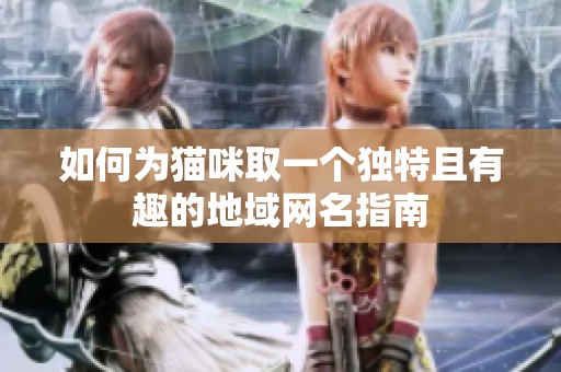 如何为猫咪取一个独特且有趣的地域网名指南