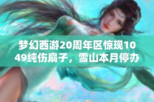 梦幻西游20周年区惊现1049纯伤扇子，雪山本月停办服战选拔赛