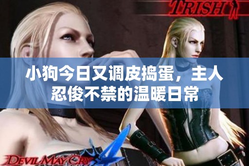 小狗今日又调皮捣蛋，主人忍俊不禁的温暖日常