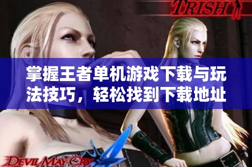 掌握王者单机游戏下载与玩法技巧，轻松找到下载地址