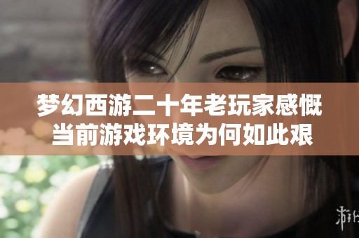 梦幻西游二十年老玩家感慨 当前游戏环境为何如此艰难