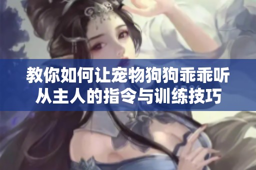 教你如何让宠物狗狗乖乖听从主人的指令与训练技巧